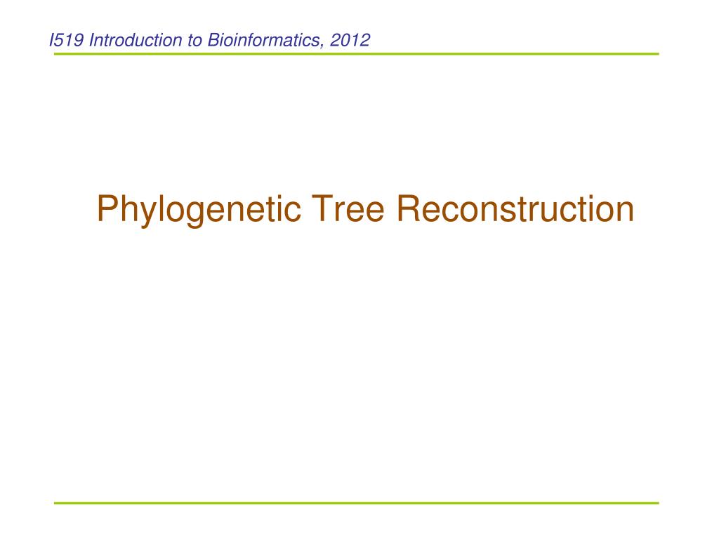 PPT - Phylogenetic Tree Reconstruction PowerPoint Presentation, free ...