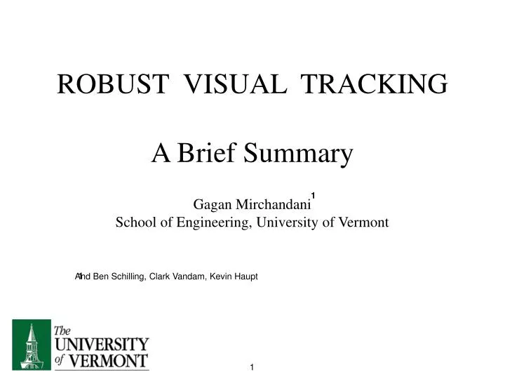 robust visual tracking a brief summary