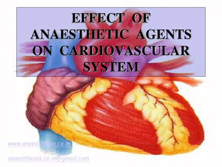 effect of anaesthetic agents on cardiovascular system
