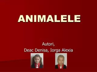 animalele