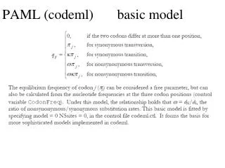 PAML (codeml) the basic model