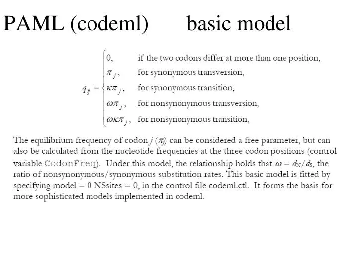 paml codeml the basic model