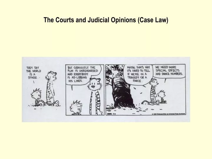 the courts and judicial opinions case law