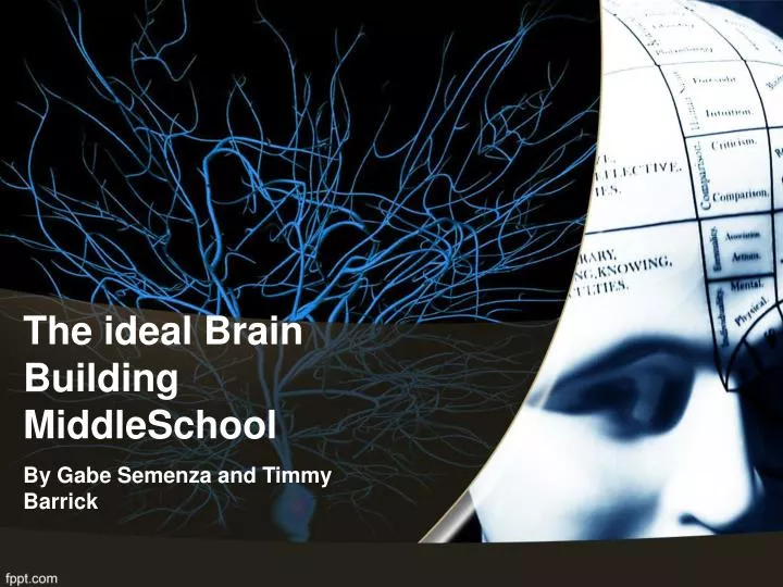 the ideal brain building middleschool