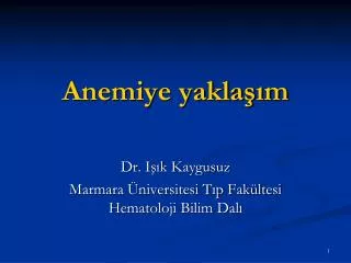 anemiye yakla m