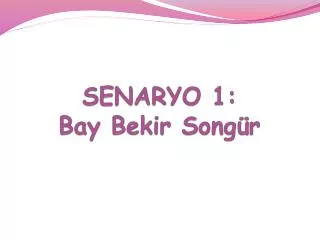 senaryo 1 bay bekir song r