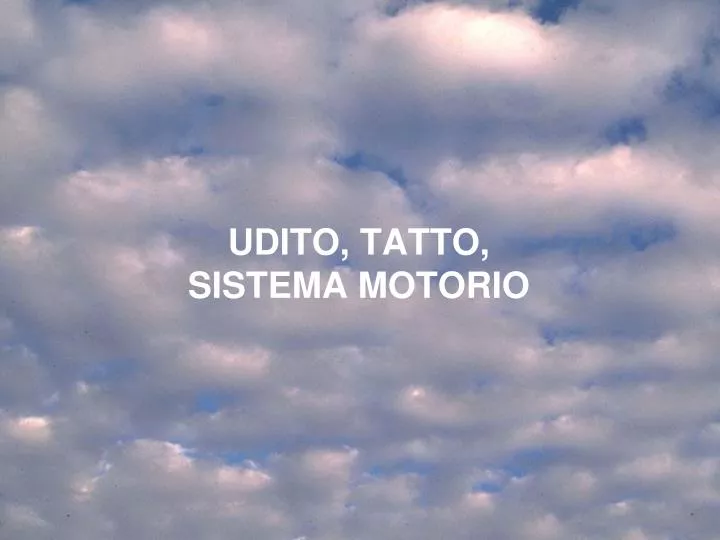 udito tatto sistema motorio