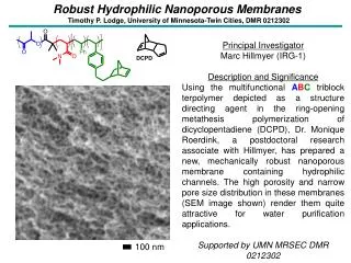 Robust Hydrophilic Nanoporous Membranes