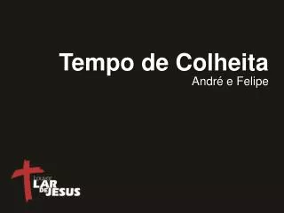 tempo de colheita