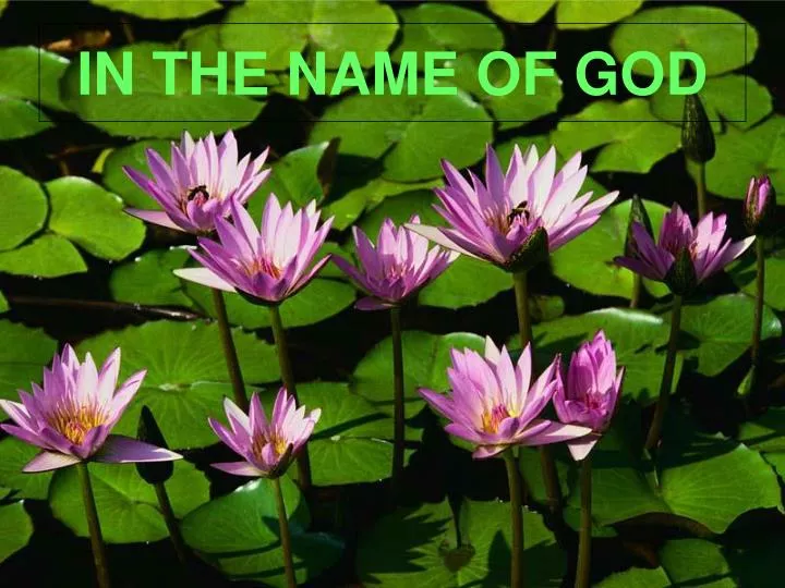 in the name of god