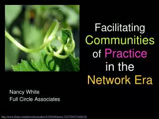 Facilitating Communities of Practice in the Network Era