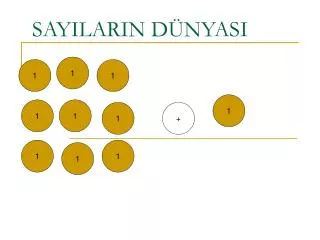 sayilarin d nyasi