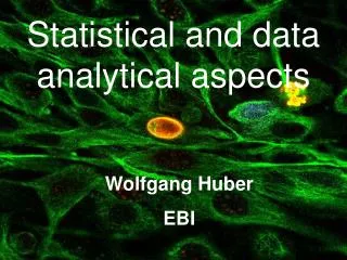 Statistical and data analytical aspects