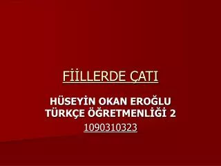 f llerde ati