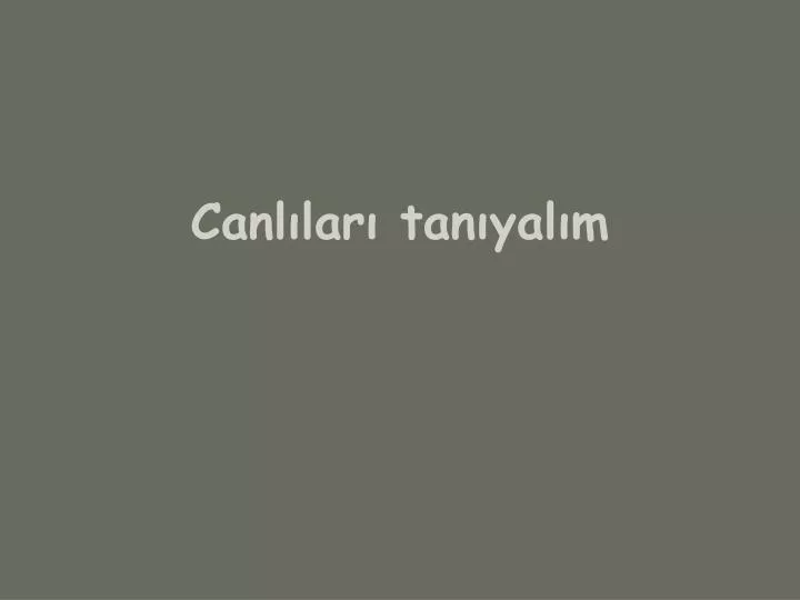 canl lar tan yal m