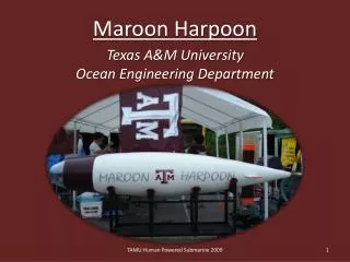 Maroon Harpoon