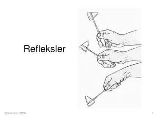 refleksler