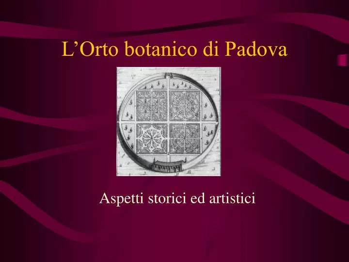 l orto botanico di padova