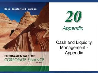 Cash and Liquidity Management - Appendix
