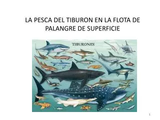 la pesca del tiburon en la flota de palangre de superficie