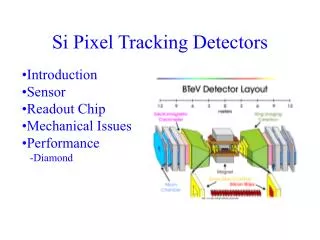 Si Pixel Tracking Detectors