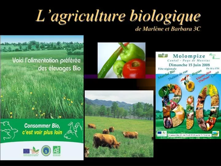 l agriculture biologique de marl ne et barbara 3c