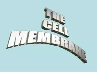 THE CELL MEMBRANE
