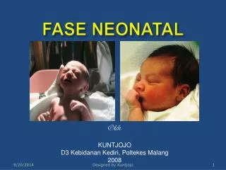 fase neonatal