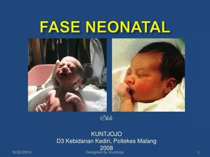 fase neonatal