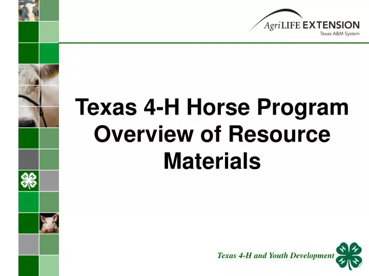 texas 4 h horse program overview of resource materials