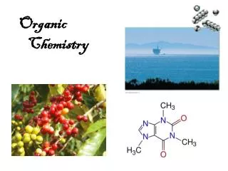 Organic Chemistry