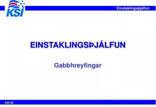 einstaklings j lfun