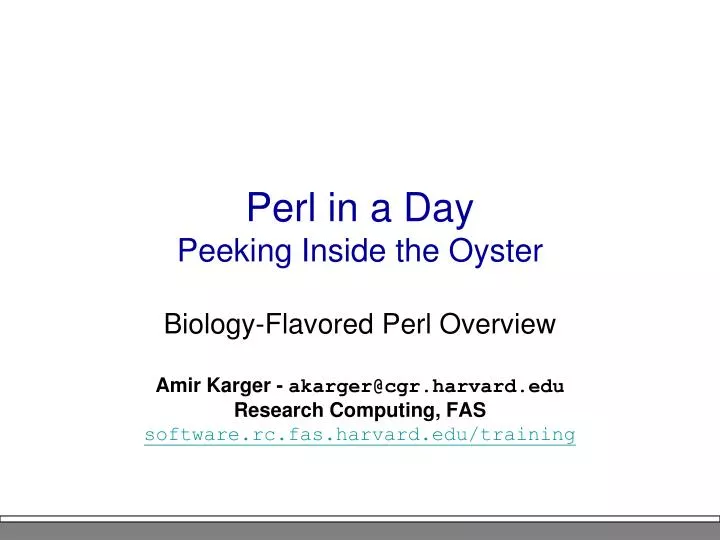 perl in a day peeking inside the oyster