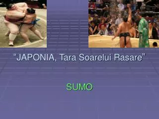 japonia tara soarelui rasare