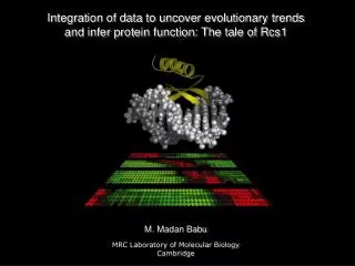Integration of data to uncover evolutionary trends and infer protein function: The tale of Rcs1