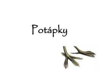 pot pky