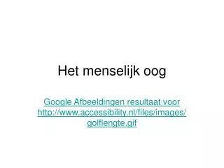 het menselijk oog