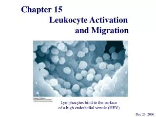 Chapter 15 Leukocyte Activation