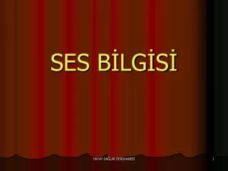 ses b lg s