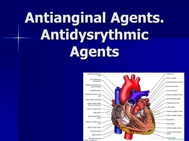 antianginal agents antidysrythmic agents