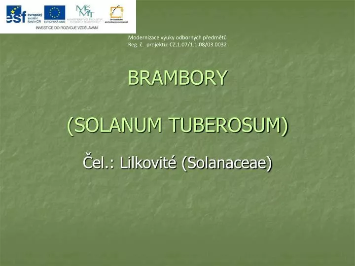 brambory solanum tuberosum