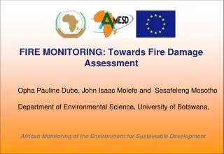 FIRE MONITORING: Towards Fire Damage Assessment