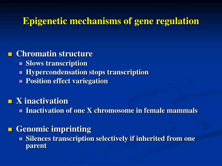 epigenetic mechanisms of gene regulation