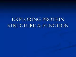 EXPLORING PROTEIN STRUCTURE &amp; FUNCTION