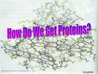 How Do We Get Proteins?
