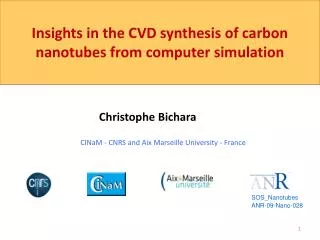 Insights in the CVD synthesis of carbon nanotubes from computer simulation