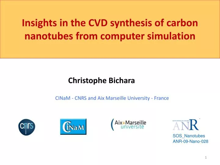 insights in the cvd synthesis of carbon nanotubes from computer simulation
