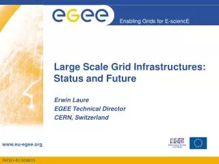 Large Scale Grid Infrastructures: Status and Future