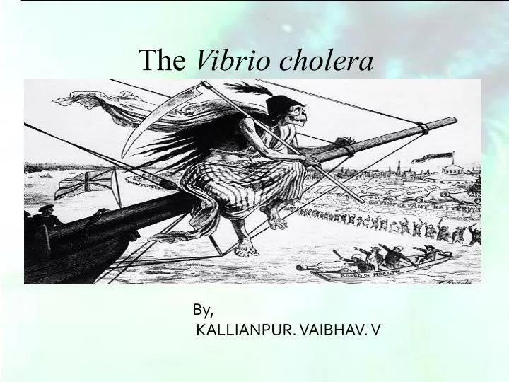 by kallianpur vaibhav v