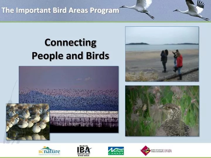 the important bird areas program